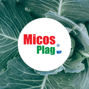 Micos-plag