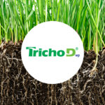 TRICHO-D