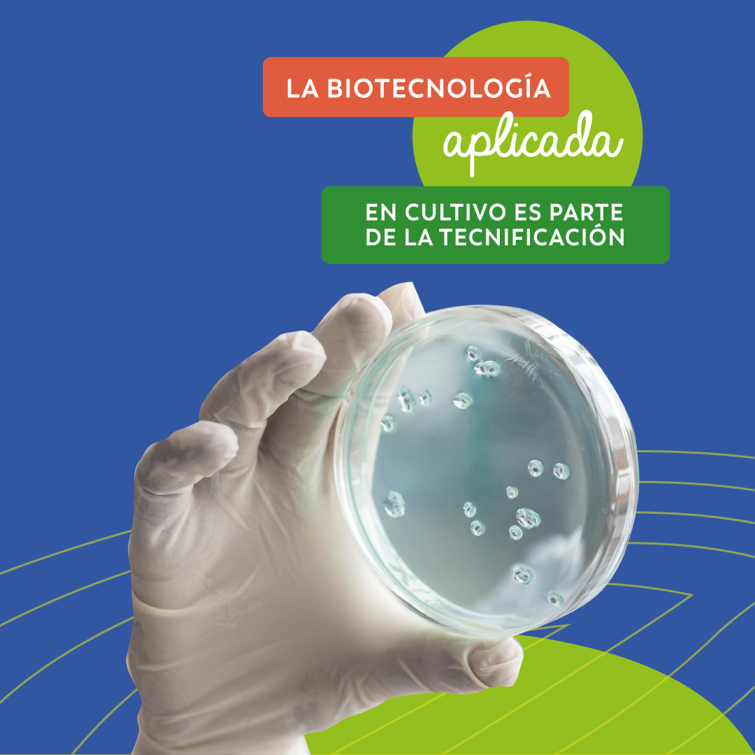 06IGFB_biotecnologia2